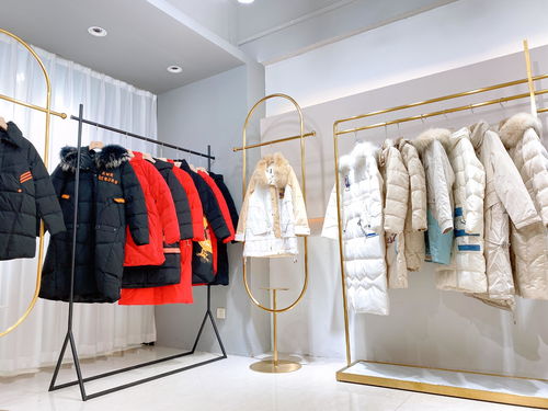 從供應(yīng)鏈視角剖析服裝行業(yè)去庫存困境 以羽絨服及女裝尾貨為例